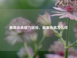 麻美由真磁力链接，麻美由真怎么样