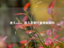港久miko，港久茶餐厅是预制菜吗