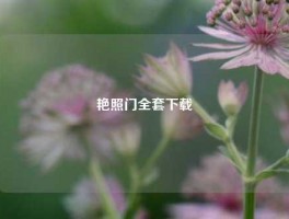 艳照门全套下载