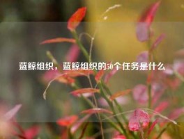 蓝鲸组织，蓝鲸组织的50个任务是什么