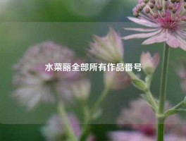 水菜丽全部所有作品番号