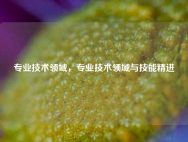 专业技术领域，专业技术领域与技能精进