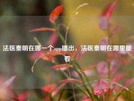 法医秦明在哪一个app播出，法医秦明在哪里能看