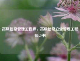 高级信息管理工程师，高级信息安全管理工程师证书