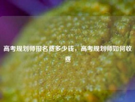 高考规划师报名费多少钱，高考规划师如何收费