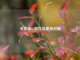 水菜丽62部作品番号封面
