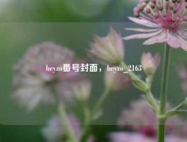 heyzo番号封面，heyzo_2163