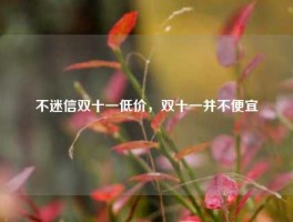 不迷信双十一低价，双十一并不便宜