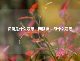 杯葛是什么意思，两阴夹一阳什么意思