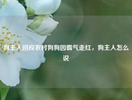 狗主人回应农村狗狗因霸气走红，狗主人怎么说