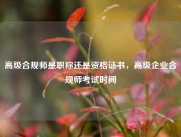 高级合规师是职称还是资格证书，高级企业合规师考试时间