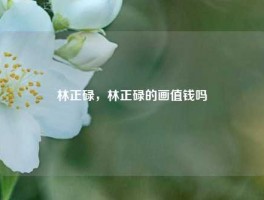 林正碌，林正碌的画值钱吗