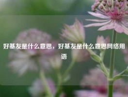 好基友是什么意思，好基友是什么意思网络用语