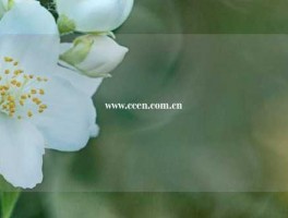 www.ccen.com.cn