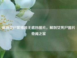 解剖女尸繁殖器无遮挡图片，解剖女死尸图片奇闻之家