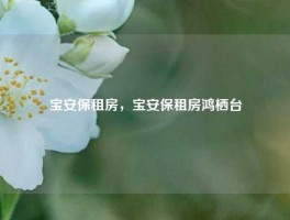 宝安保租房，宝安保租房鸿栖台