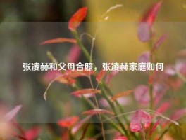 张凌赫和父母合照，张凌赫家庭如何