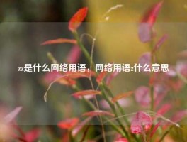 zz是什么网络用语，网络用语z什么意思