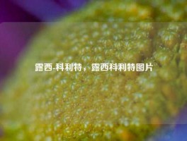 露西-科利特，露西科利特图片