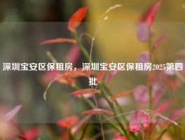 深圳宝安区保租房，深圳宝安区保租房2025第四批