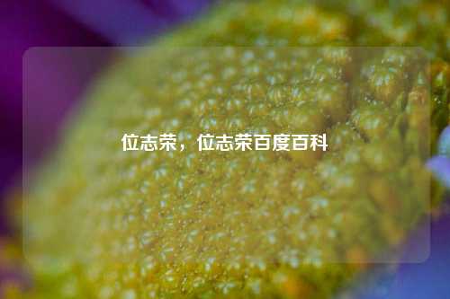 位志荣,位志荣百度百科 第1张 位志荣,位志荣百度百科 第1张