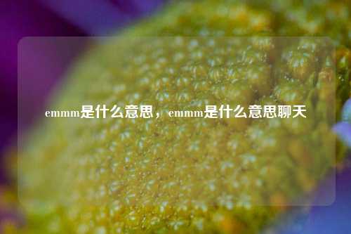 emmm是什么意思,emmm是什么意思聊天 第1张 emmm是什么意思,emmm是什么意思聊天 第1张