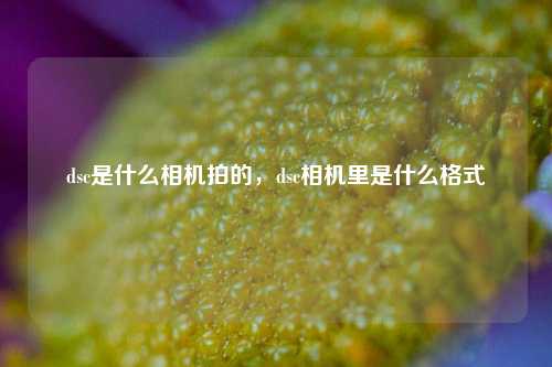 dsc是什么相机拍的,dsc相机里是什么格式 第1张 dsc是什么相机拍的,dsc相机里是什么格式 第1张