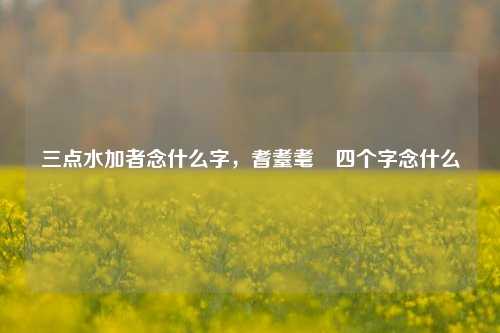 三点水加者念什么字,耆耋耄耈四个字念什么 第1张 三点水加者念什么字,耆耋耄耈四个字念什么 第1张